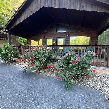 Beary Tale! Your Happily Ever After Starts Here! Sevierville Extérieur photo